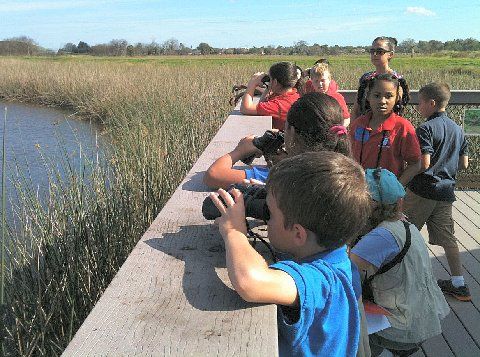 Students using binoculars at the Celery Fields, Sarasota